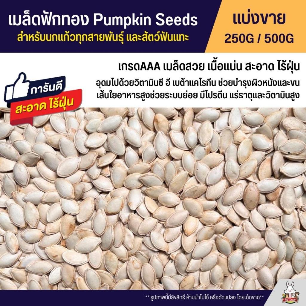 Pumpkin Seeds Grade A Food For Parrots Hamsters And Rodents (Sold
