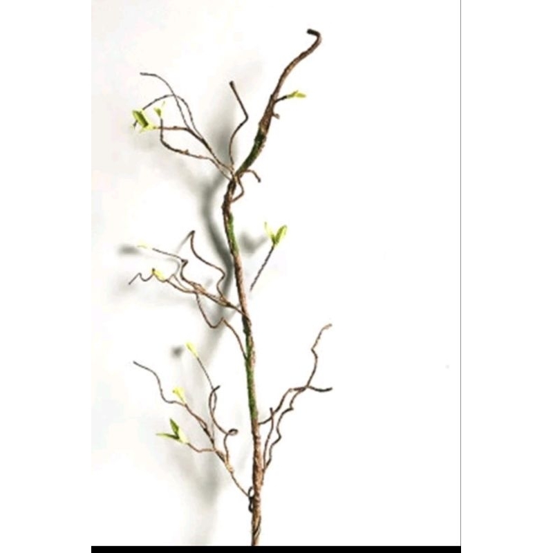 Rustic Style Dried Vines Diy Work Set 10+Pcs Shopee Malaysia