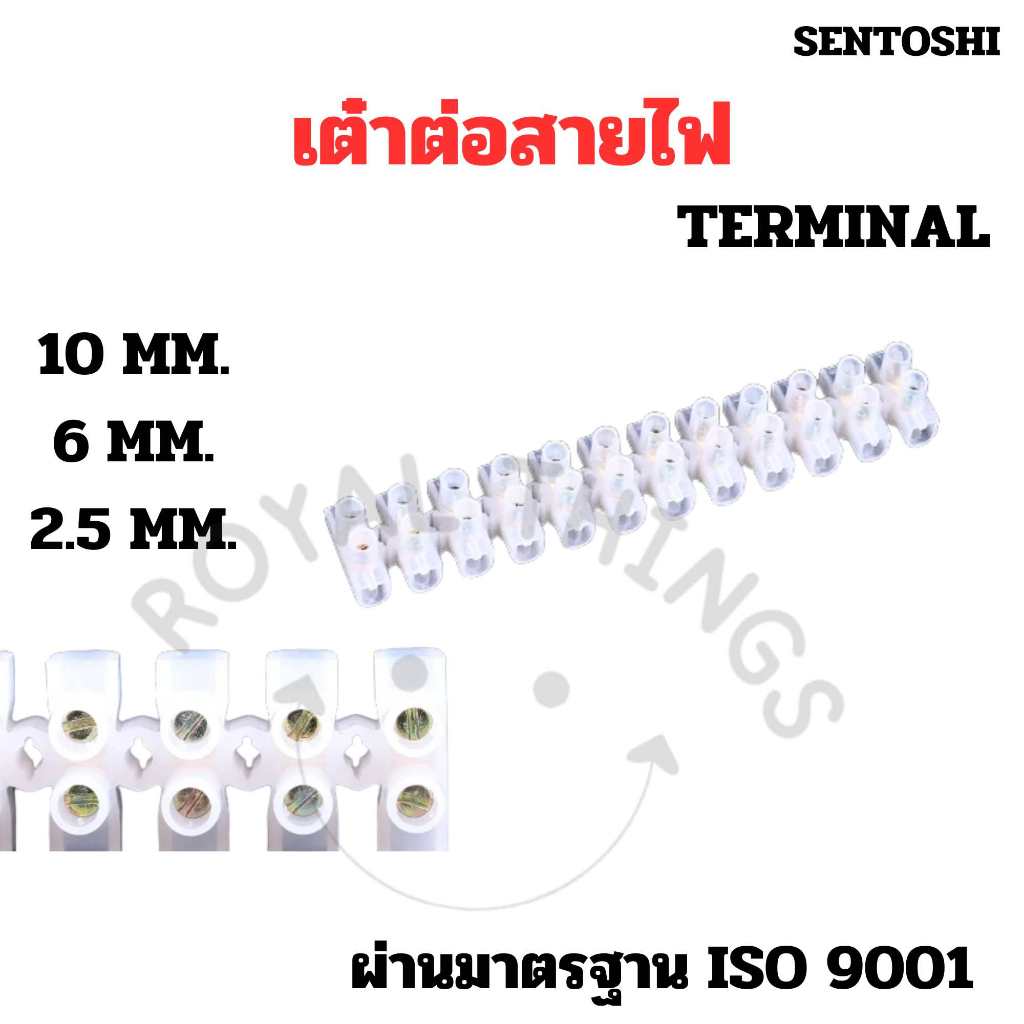 SENTOSHI Turtle Electrical Wire Cable Clamp Size 2.5 6 10 sqmm Terminal ...