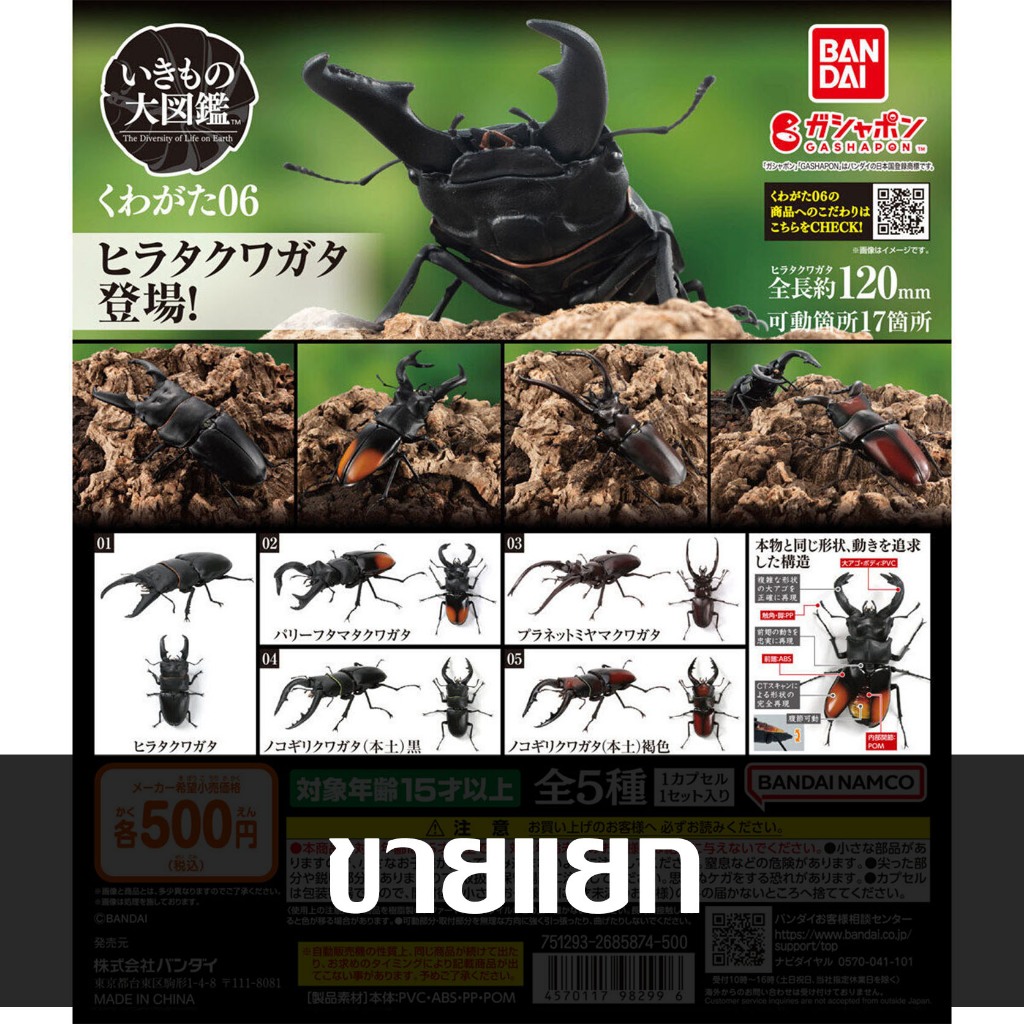 Snap-fit Model Fujimi Stag Beetle Model Kit Free Research-22 - Snap-Fit ...