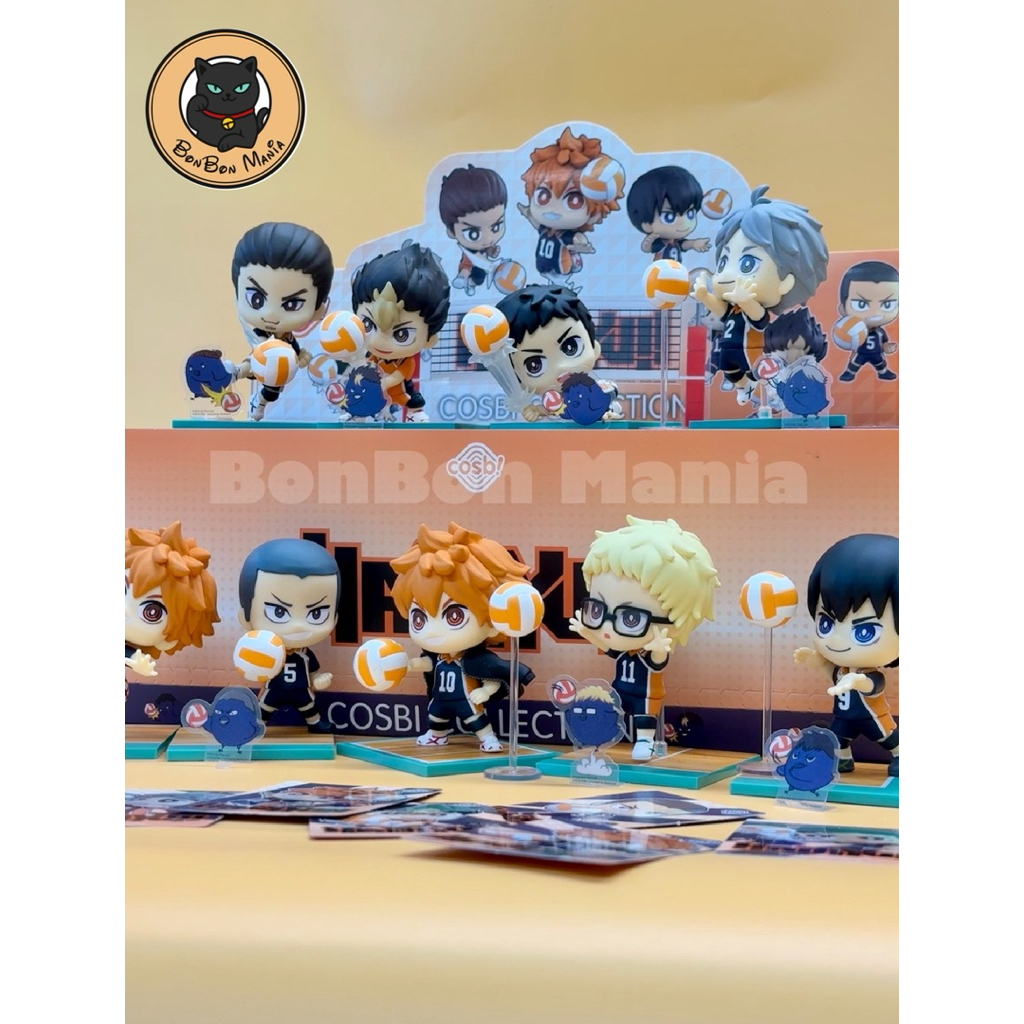 Separate-Choose] HOT TOYS HAIKYUU!! Cosbi Collection blind box set