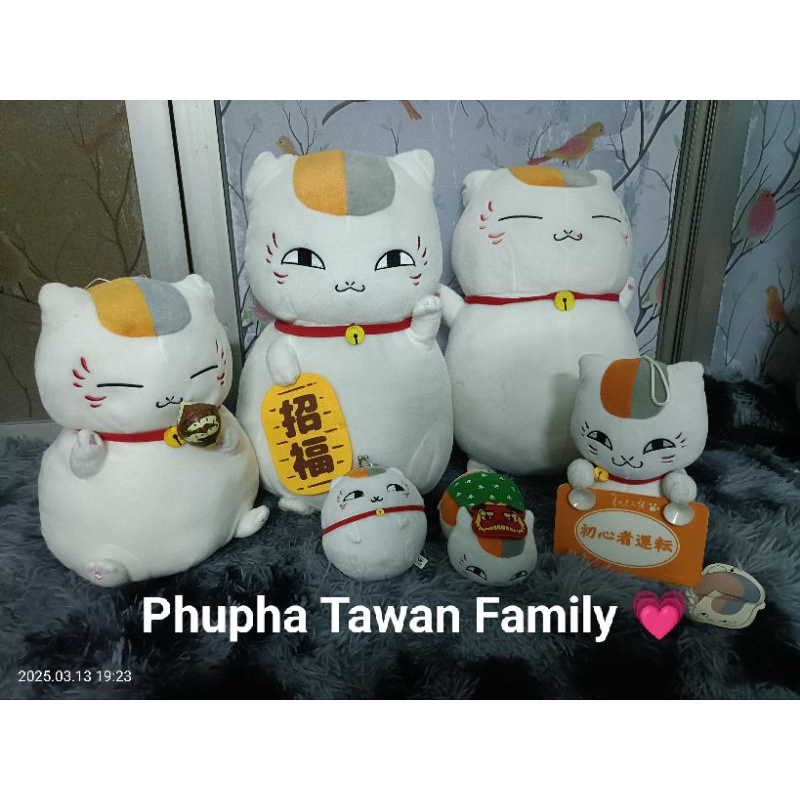 Nyanko Sensei Cat Doll Graded Nianko Auspicious Japanese Real Copyright ...