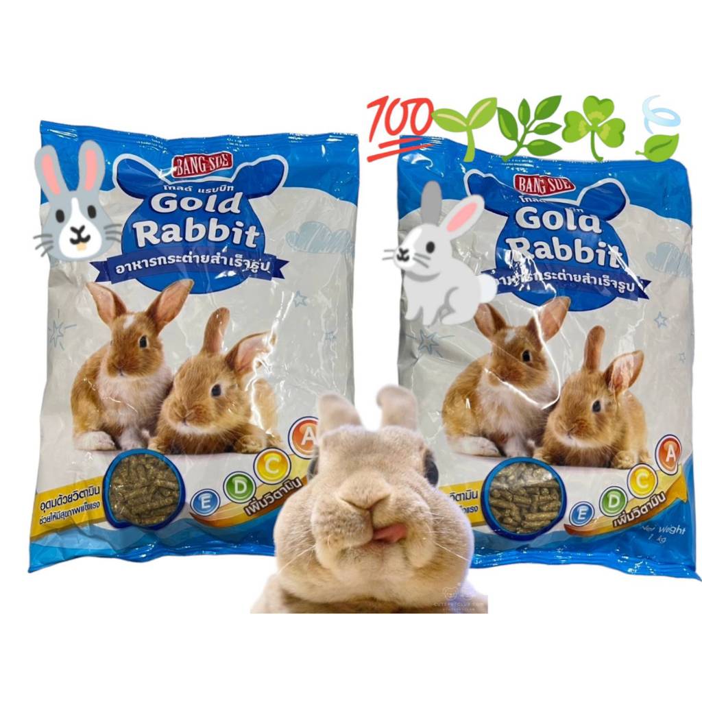 Gold Rabbit Food Pellet For Rabbits And Guinea Pigs Gatsby 1 Kg. 1 Bag ...