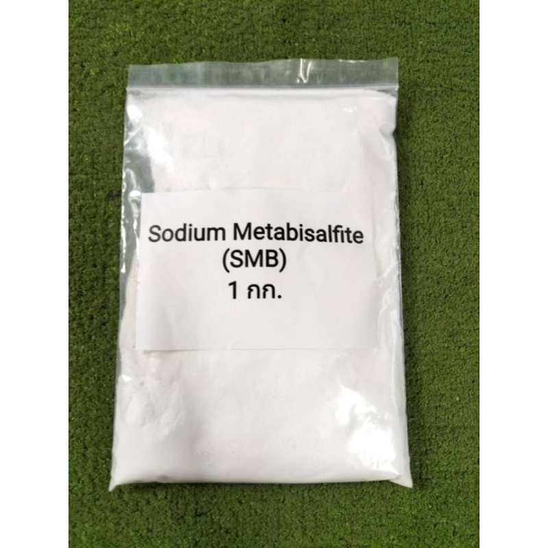 White Gold Powder Sodium Metab E(SMB.) 1kg Size | Shopee Malaysia
