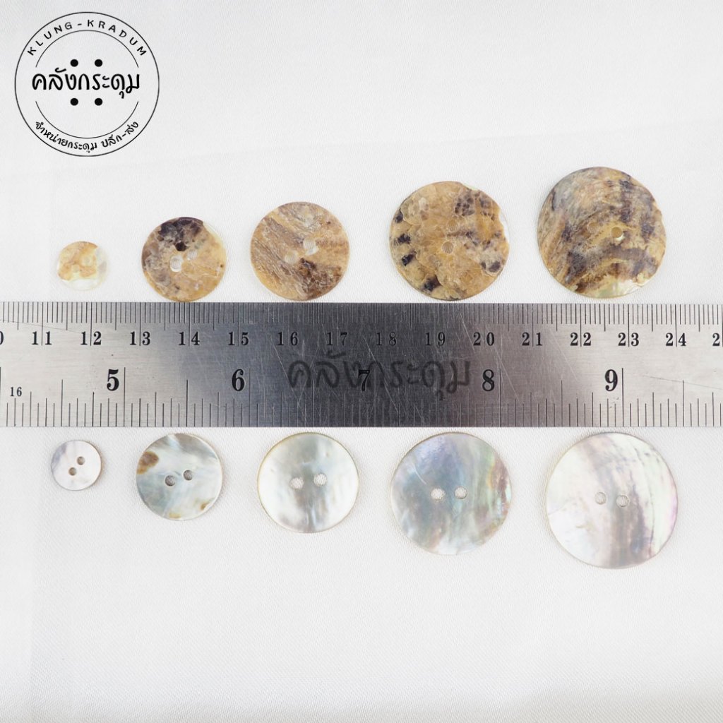 Real Shell Buttons From The Seaside With A Shiny Face (144 Tablets ...