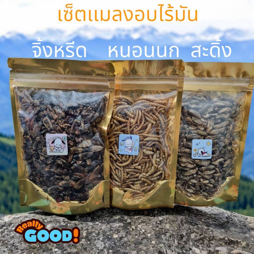 Including 100 Grams Of Roasted Insects Lift A Set Of Worms Crickets ...