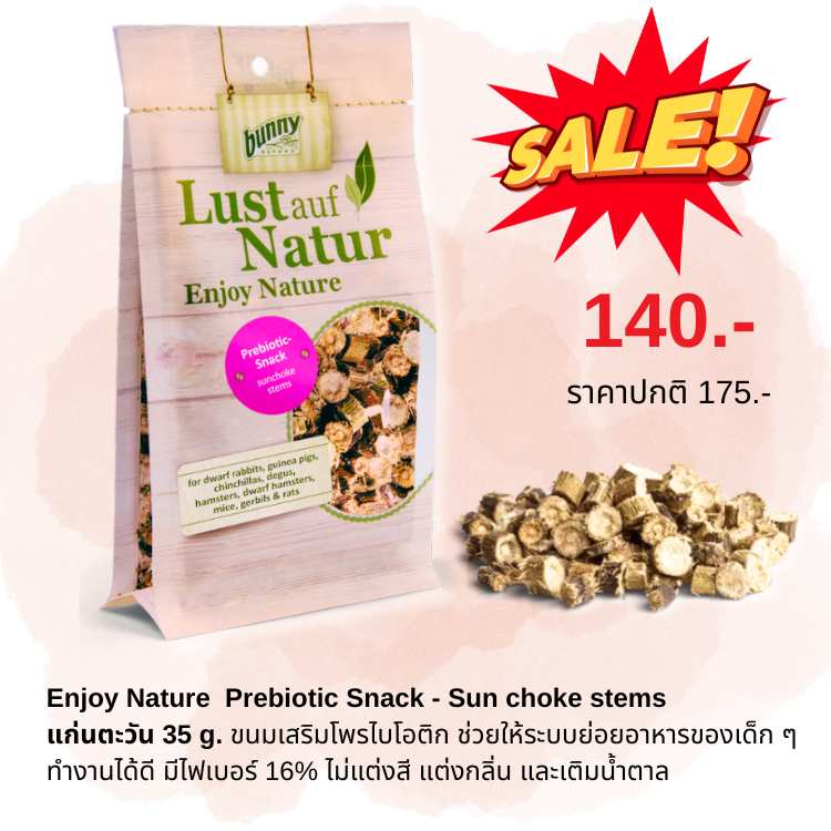 Exp.31/03/25 Bunny Nature Prebiotic Snack sunchoke Essence Of Tawan ...