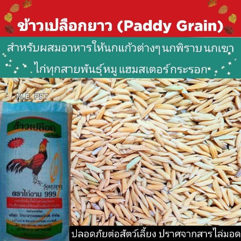 Long Bark Rice (1 Kg) For All Breeds Of Chickens Horns Pigeons Parrots ...