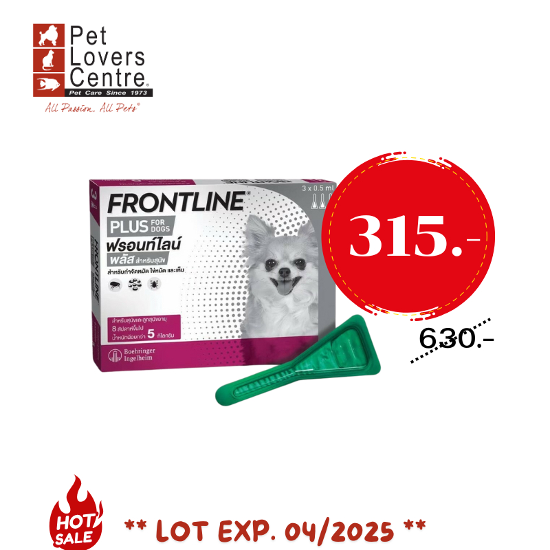 FRONTLINE PLUS (XS) Dog Flea And Tick Drops EXP.04/2025 | Shopee Malaysia