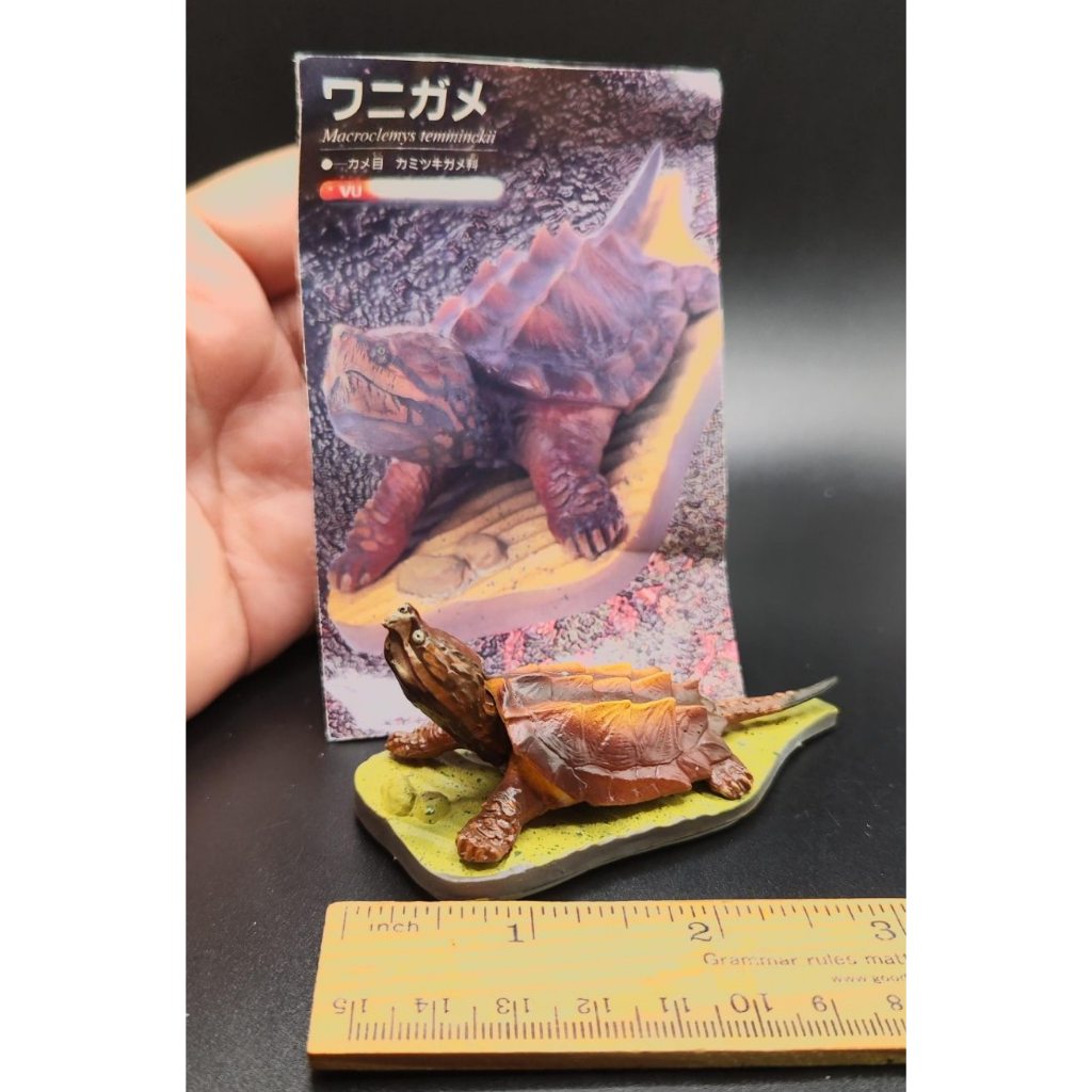 figure Miniature Animal Giant turtle Aligner (Alligator snapping turtle ...