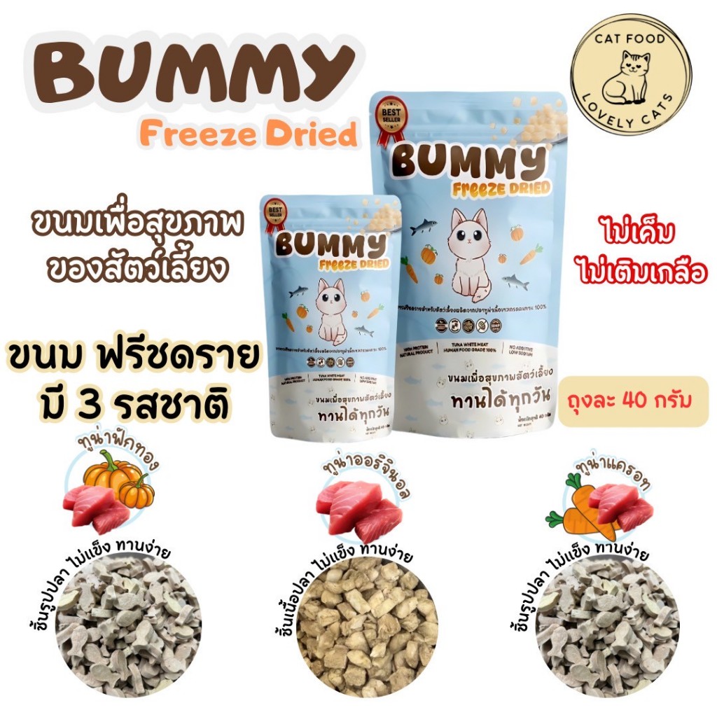 BUMMY Freeze Dried Cat Treats Mommy 40g Tuna Flavour Food | Shopee Malaysia