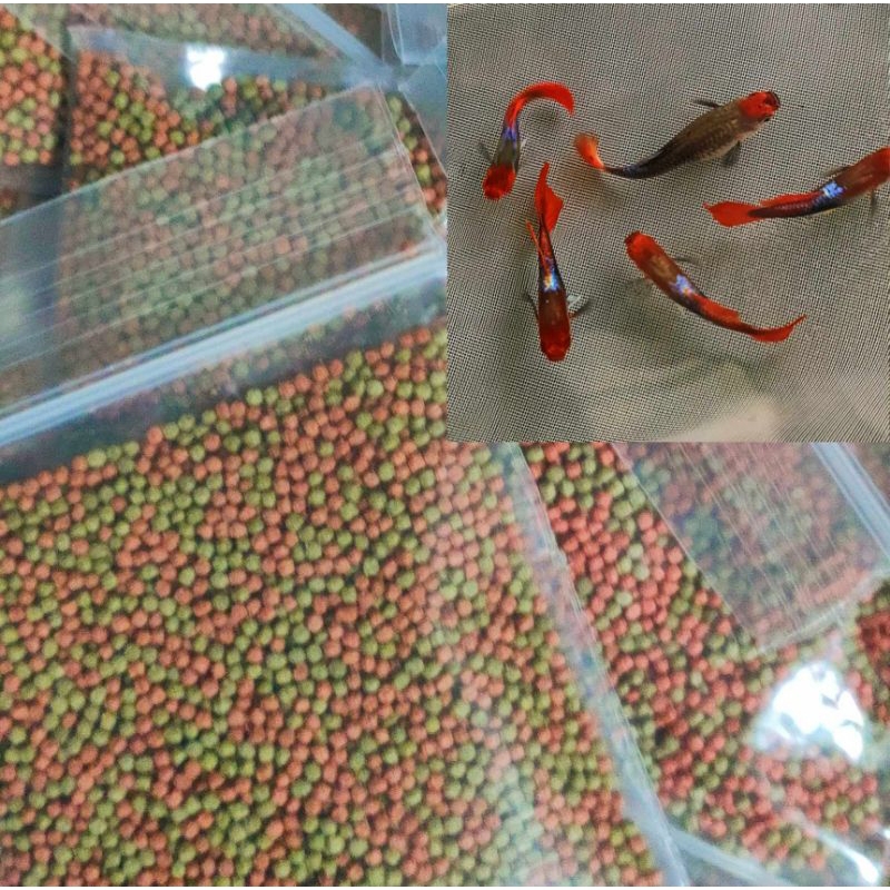 Koi Code 2 M2 Plus Guppy Food Color Accelerated Formula | Shopee Malaysia