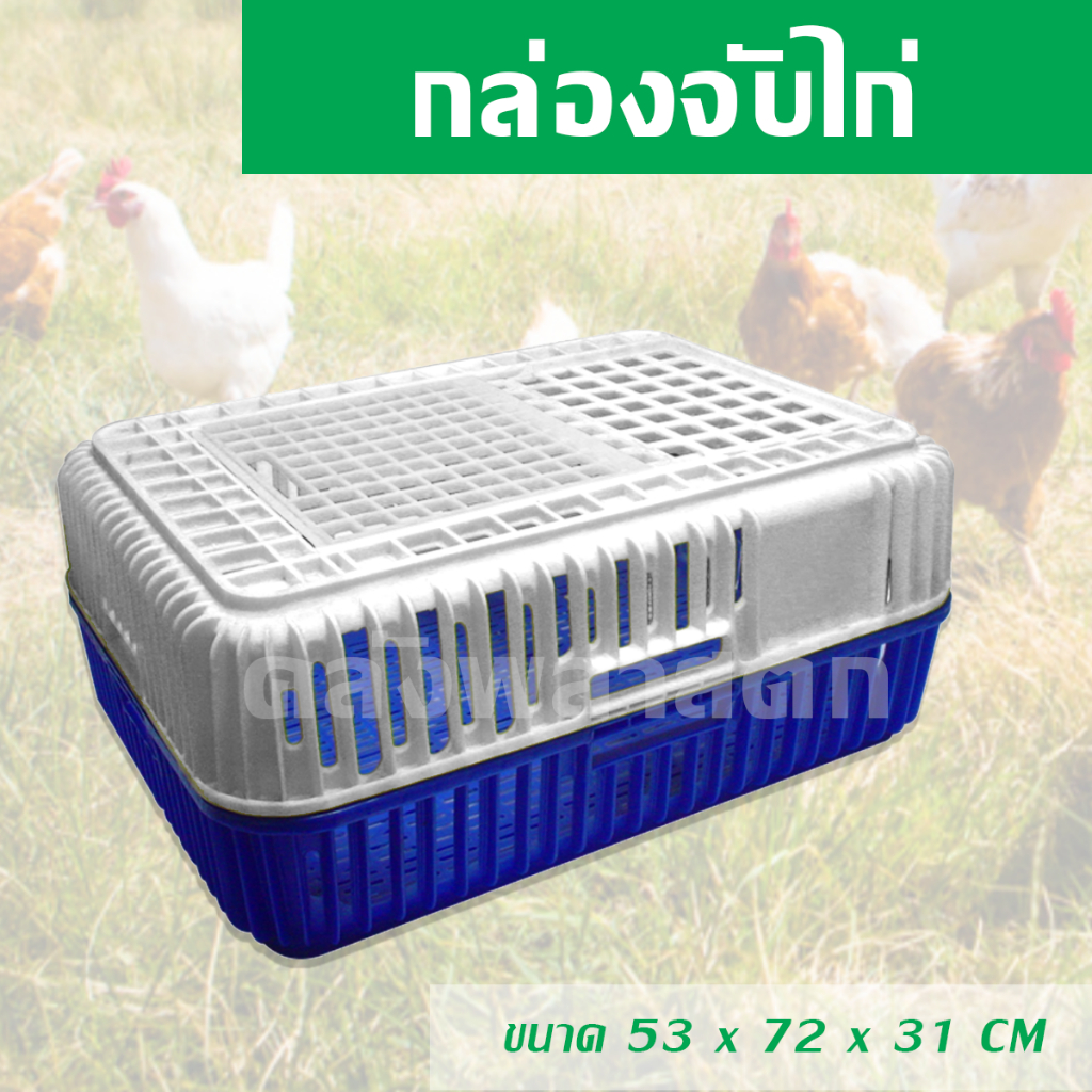 Chicken Catching Box With Lid Use To Move Chickens And Poultry-0120 ...