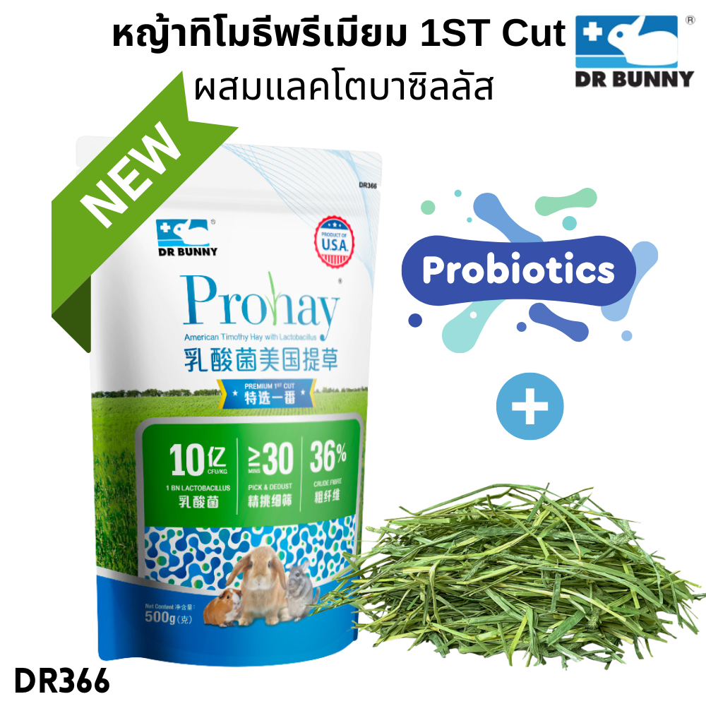 Dr.Bunny DR366 Prohay American Timothy Hay with Lactobacillus Premium ...