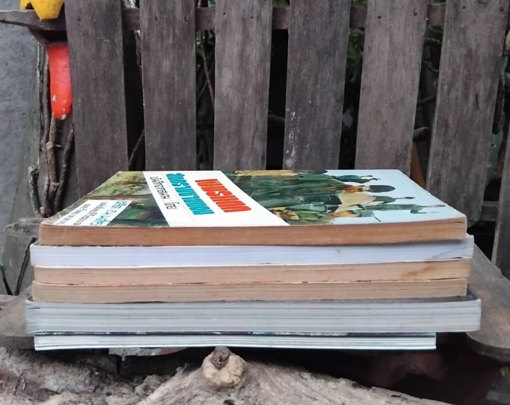 Collection Of Books About Neighboring Countries Battle Military Art