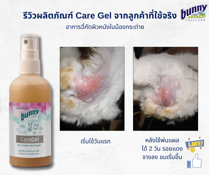 Bunny nature Care Gel Skin For Rabbits And Small Animals. Accelerate ...