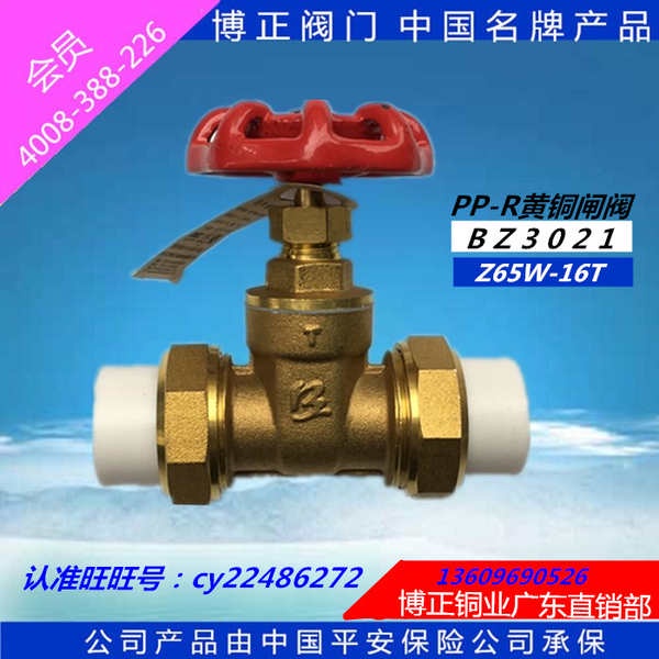 Bozheng Valve BZ3021 ppr Brass Gate Valve Double Living Gate Valve Tap