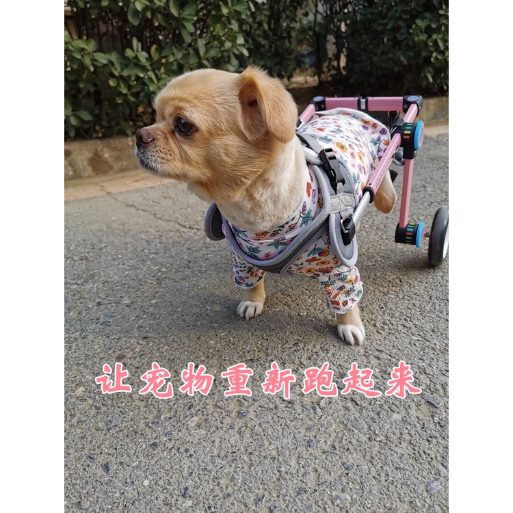 Dog Walker Cat Wheelchair Rear Limb Paralyzed Walker Disabled Car Teddy ...