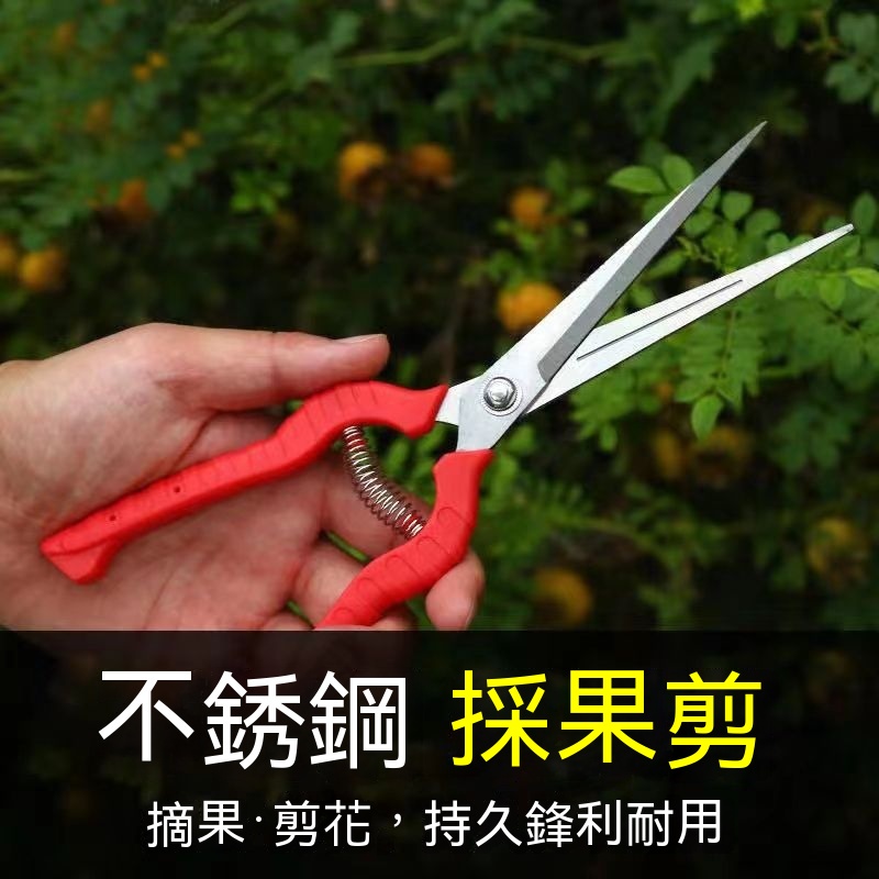 Next Day Arrival Gardening Vegetable Fruit Flower Shears Picking Clip ...