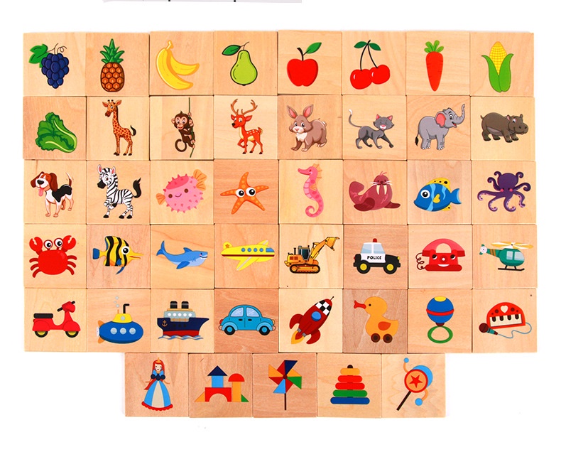 Treeyear Montessori Shadow Matching Toys,Fruit Recognition Sorter ...