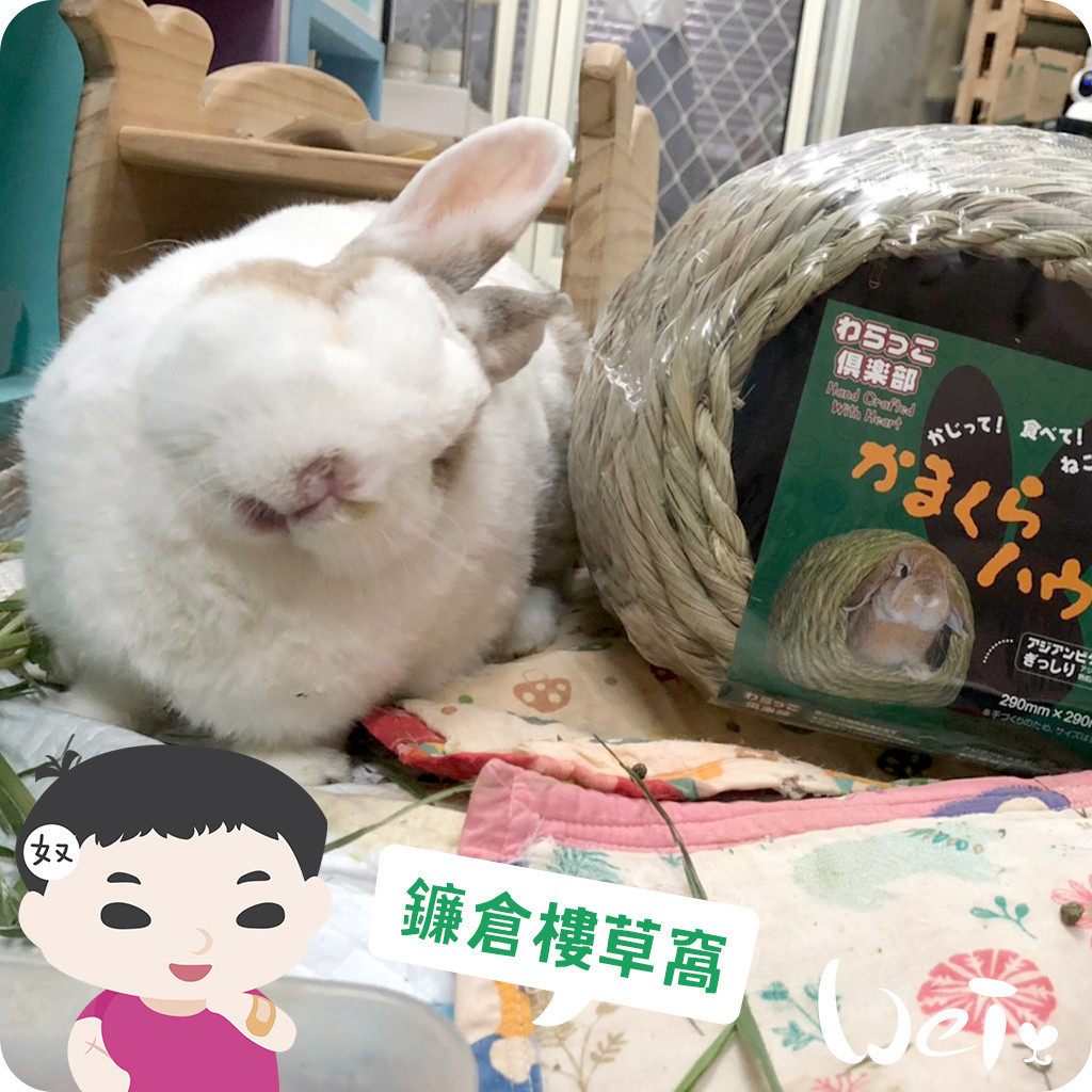 Wei He Ma-Japan KAWAI Timothy Straw Rabbit Nest (Rabbit Kamakura House ...