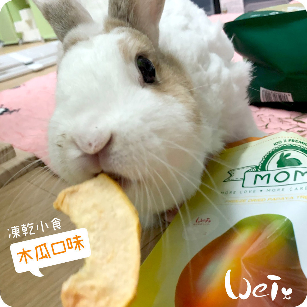 Illustration of Freeze Dried Snacks For Guinea Pigs