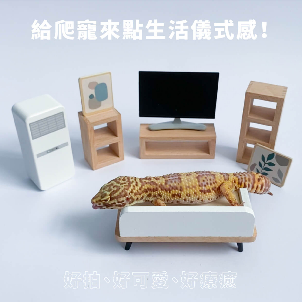 [Reptile Special Attack Team] 24 Hours Gecko Small Furniture Decoration ...