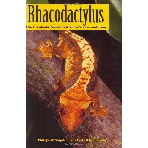 R Rhacodactylus: Multi-Toed Tiger (Rh) Gecko Complete Selection ...
