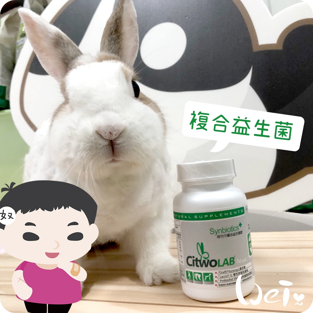 Weihema-CI Rabbit Citwo LAB Compound Probiotics Benefit Bunny ...