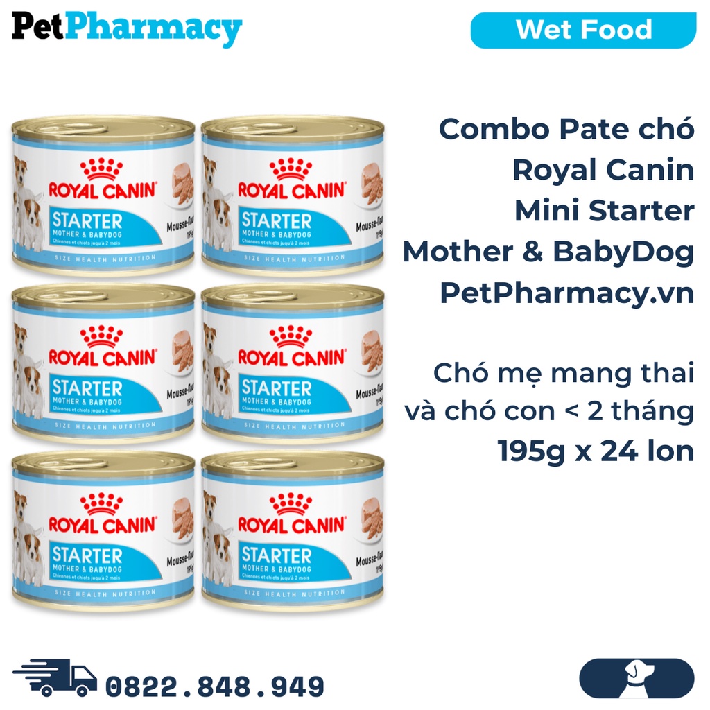 Combo Pate Royal Canin Mini Starter Mother & BabyDog 195g 24 Cans Pregnant & Puppies