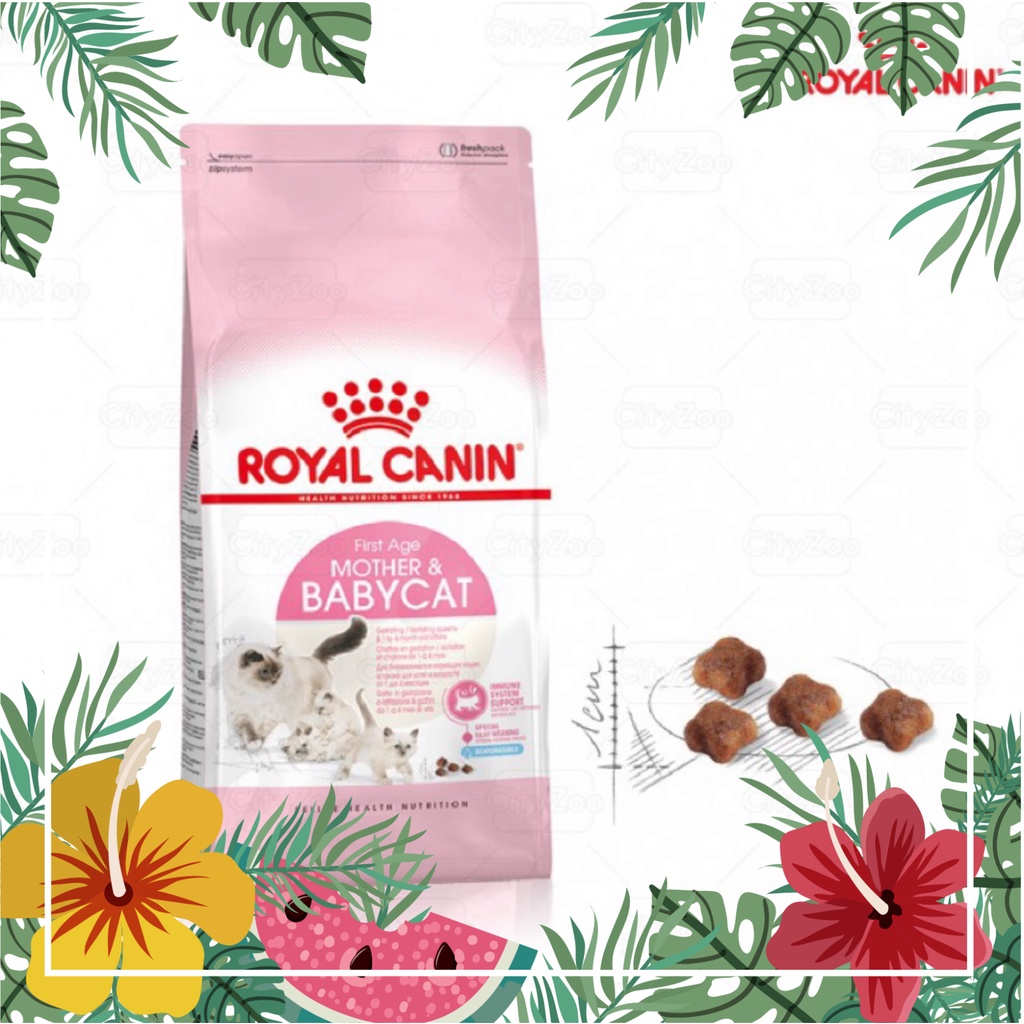 Royal CANIN MOTHER & BABYCAT Seed Food Pregnant Or Lactating Cat