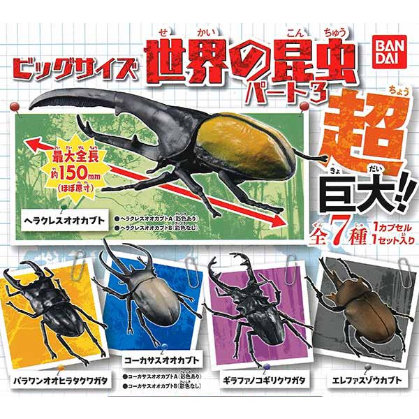 Bandai BANDAI Gashapon World Insect 3 Beetle Unicorn Hercules Long ...