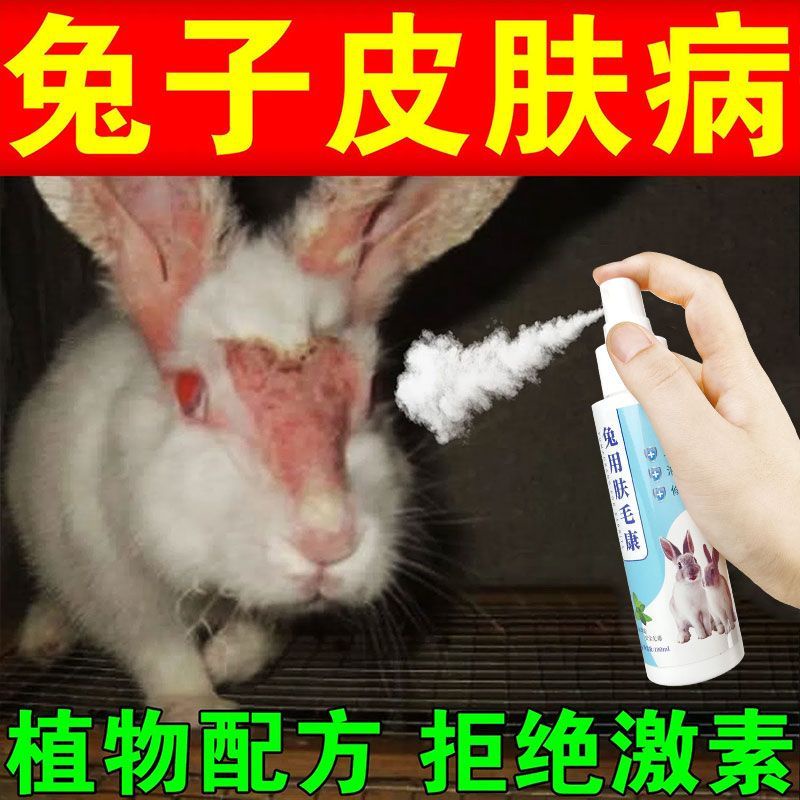 Rabbit skin disease decongestion cure fungal infections rabbit rabbit ...