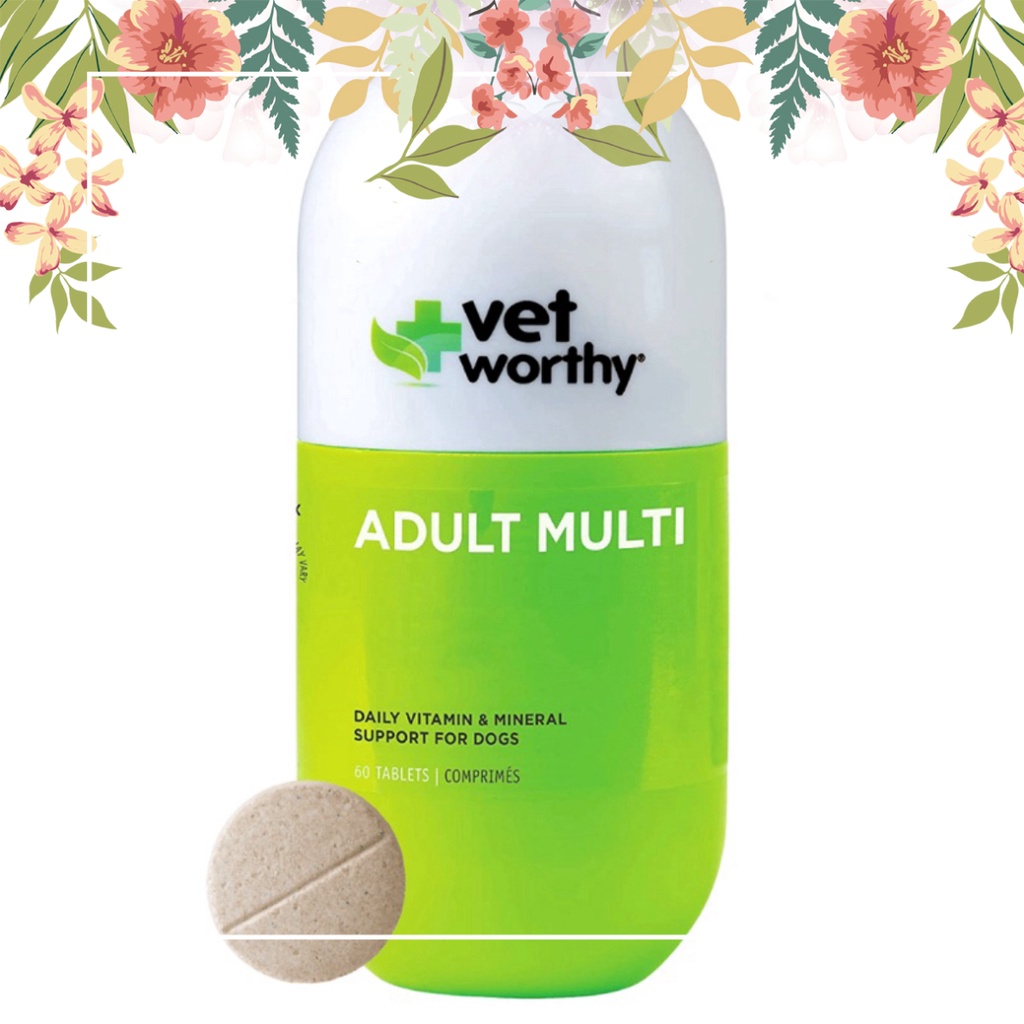 Vet Worthy Adult Multi Vitamin Liver Flavored Chewables for Dogs Vet