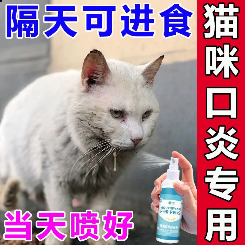 Cat stomatitis medicine, cat mouth rot, inflammation, oral u cat medicine cat mouth Rotten
