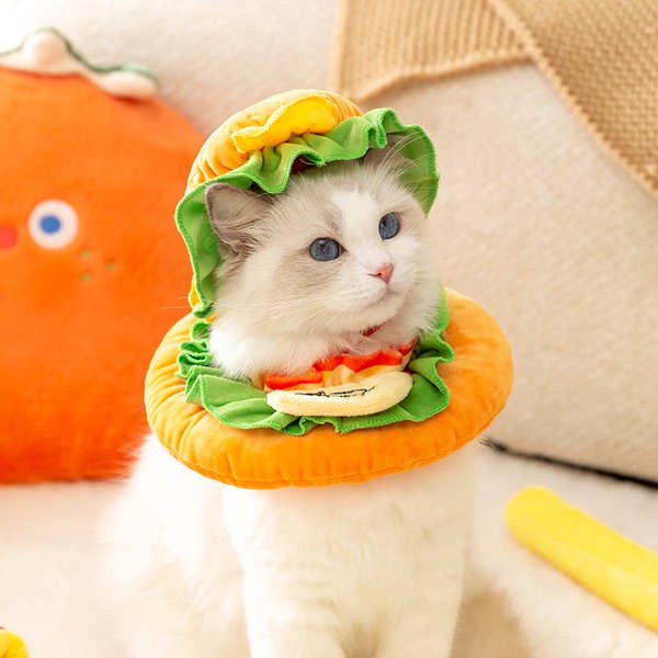 Pet Transformation Costume Influencer Funny Cat Burger Suit Fleece Coat