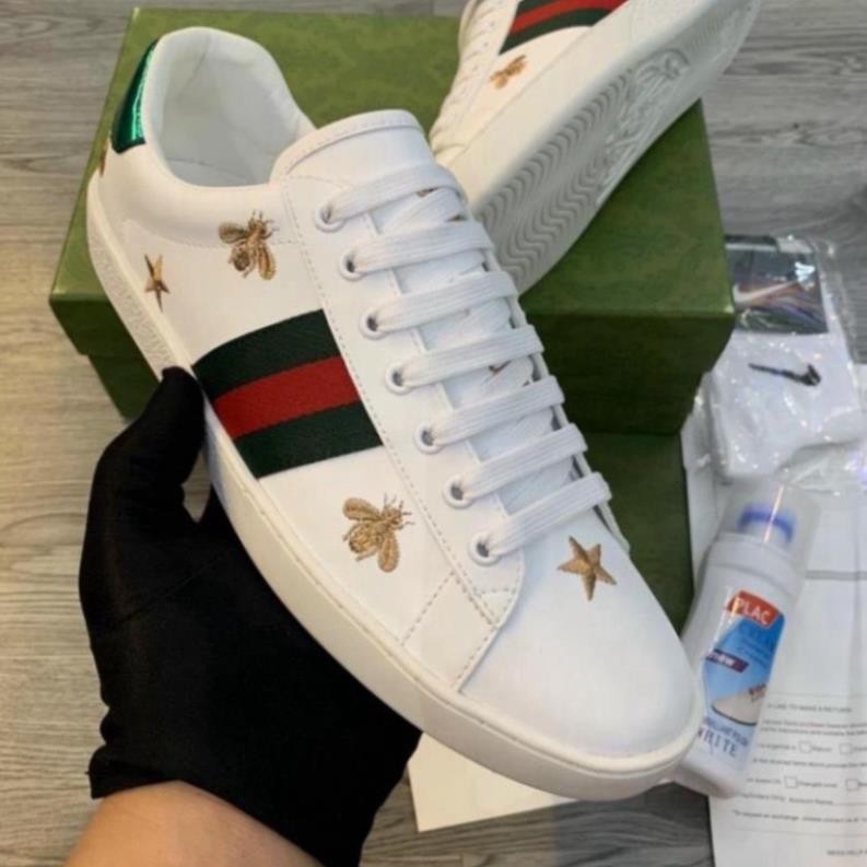 Gc Ace Embroidered 'Bees and Stars' Sneakers. Gc Ong Sao Shoes Imported ...