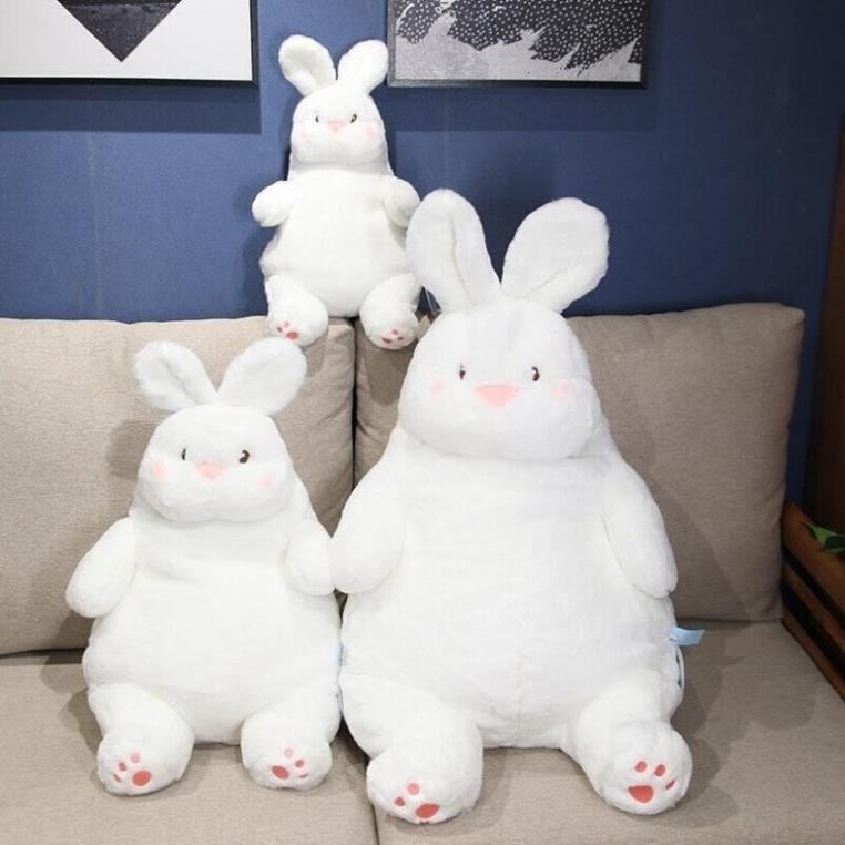 Fat White Rabbit Teddy Bear Fat Chubby Hat Cute Fat Belly Bear Hugging ...