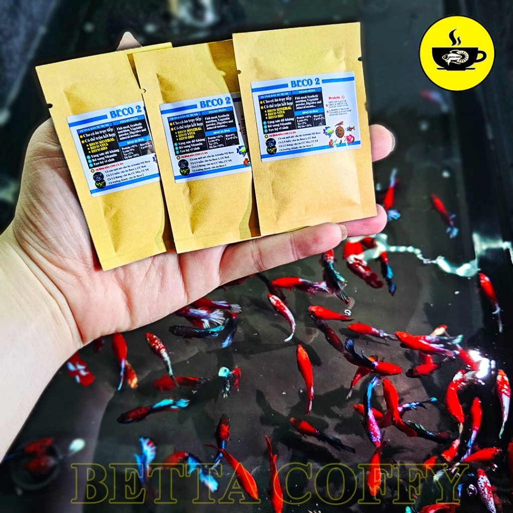 BECO 2 Bran - Nutritional food for ornamental fish betta guppy ranchu ...