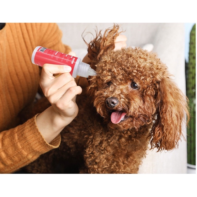 Ear Drops, Ear Drops, Ear Cleaning Solution And Prevention Of Ear