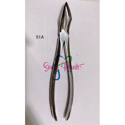Pakistani dental tooth extraction pliers (adult) | Shopee Malaysia