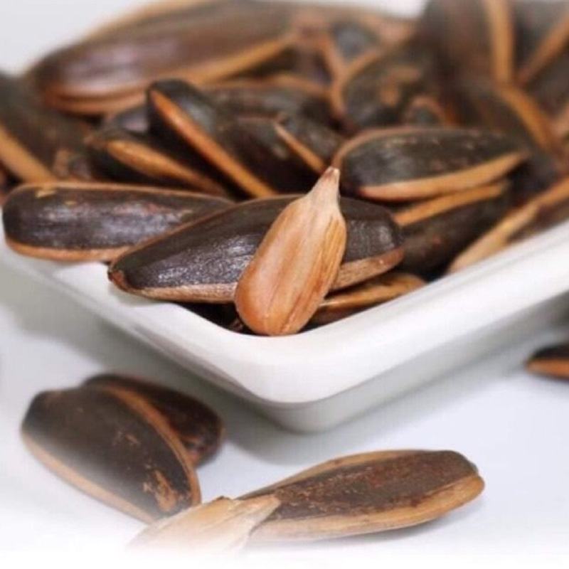 Sunflower Seeds Coconut Flavor Shopee Malaysia