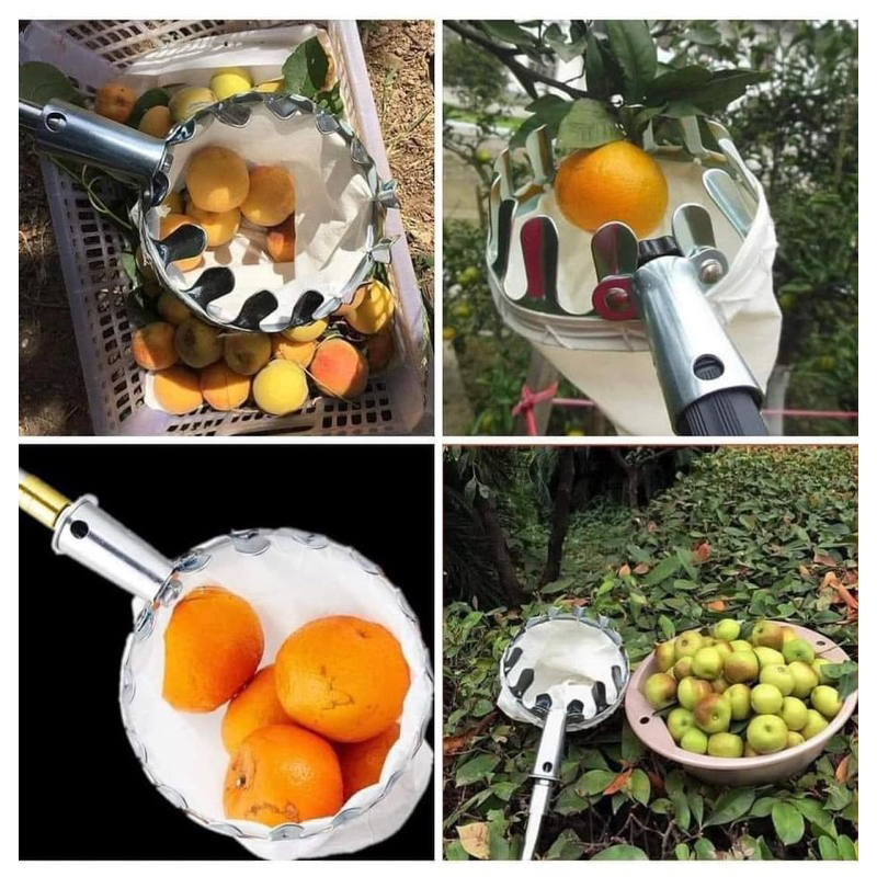 Convenient fruit picking racket (stick not included) | Shopee Malaysia
