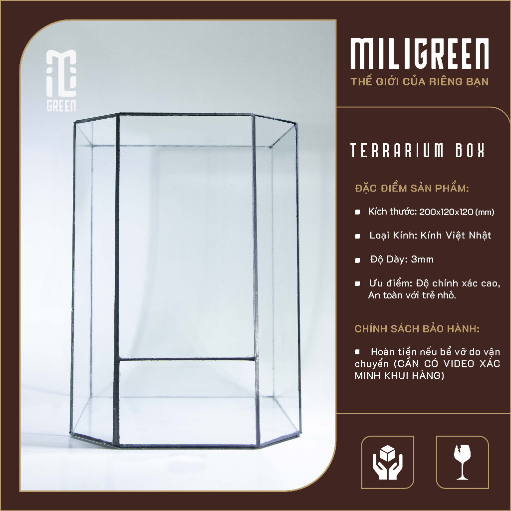 Terrarium Glass Jars, Terrarium Decoration, Desk Setup, SelfInstalled