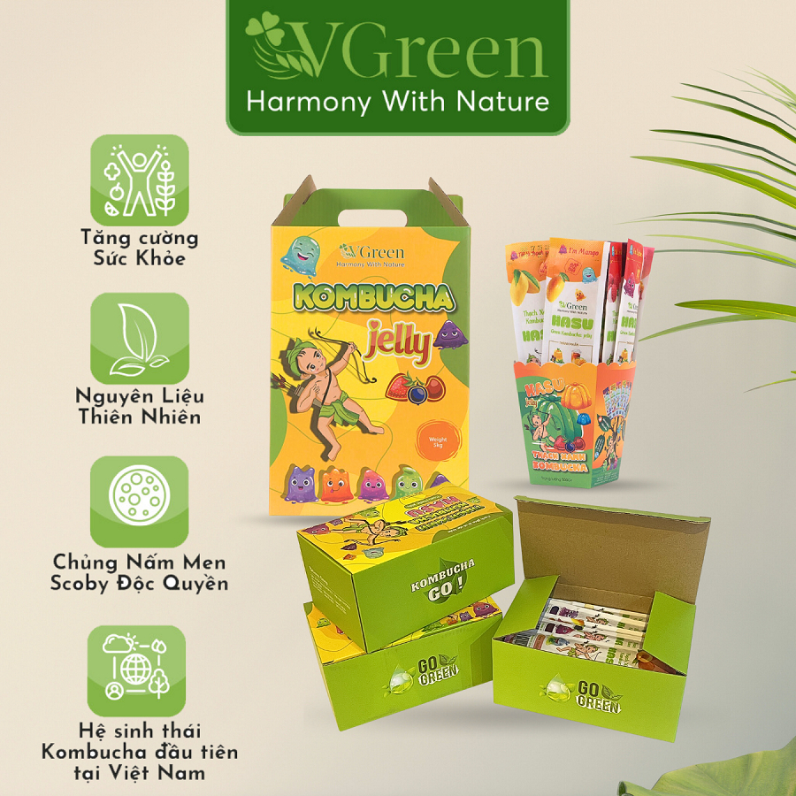 Kombucha Digestive Jelly 5kg Box (150 Pcs / Box)Free 2 2 Bottles Of