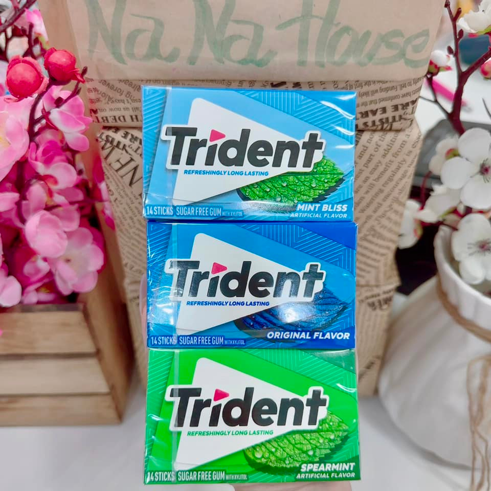 Trident gum (14 tablets - Sugarfree) | Shopee Malaysia