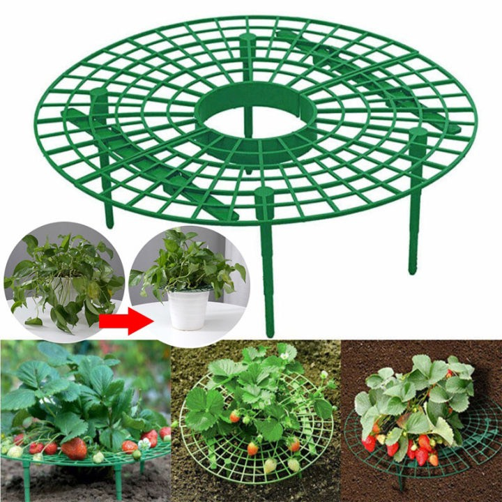 Strawberry rack, leafy vegetable rack, strawberry support frame, limits ...