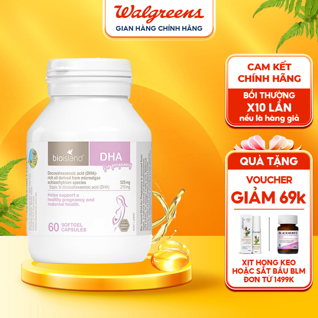 Bio island DHA Provides DHA To Pregnant Women To Help Develop The Brain