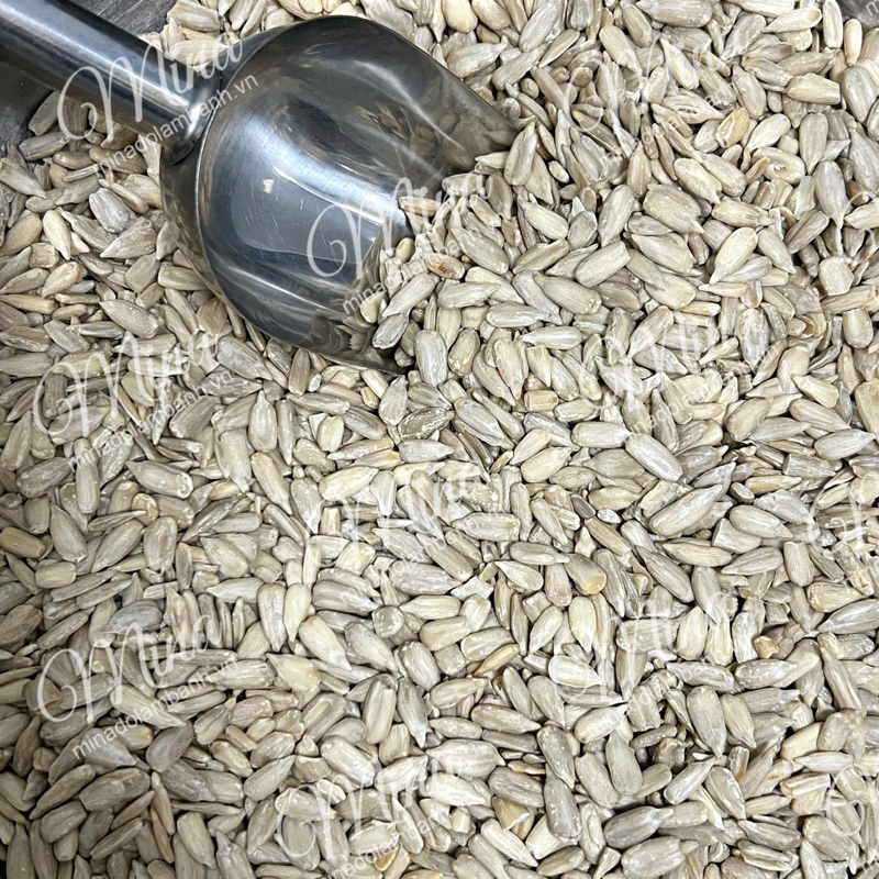 Sunflower Kernel Peeled 100g Shopee Malaysia