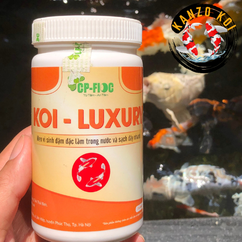 [Free Retail extract] Koi Luxury Premium Aquarium Fish Microbiology ...